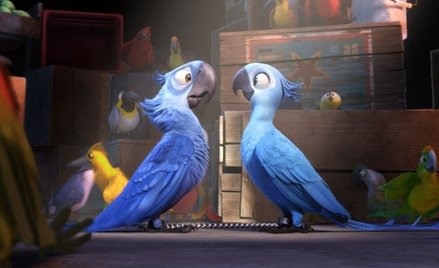 Ptak, który był bohaterem filmu "Rio", wyginął