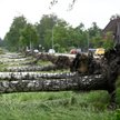Niemcy: Katastrofalne skutki deszczy i huraganów