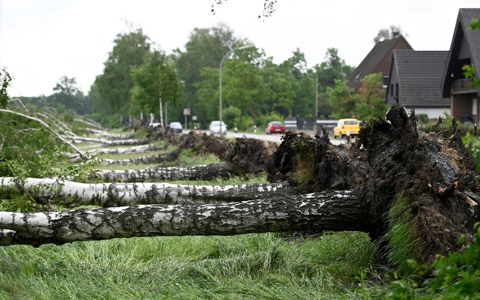 Niemcy: Katastrofalne skutki deszczy i huraganów