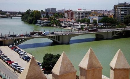 Sewilla: Wysokie kary za grzebanie w śmietnikach