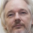 Julian Assange dostał warunki. Ma dbać o kota i sprzątać