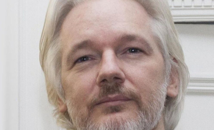 Julian Assange dostał warunki. Ma dbać o kota i sprzątać