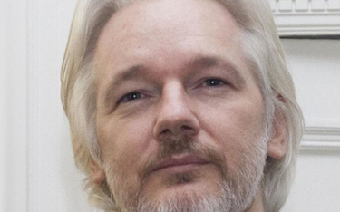 Julian Assange dostał warunki. Ma dbać o kota i sprzątać
