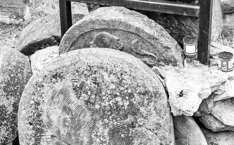 Historia Zagłady nie powinna służyć wygodnym, ale niepełnym narracjom