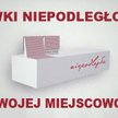 Szułdrzyński do Błaszczaka: Dziękuję za ławeczki niepodległości