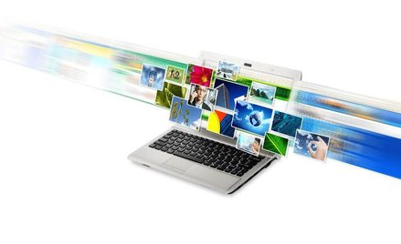 To nie koniec łowów w sieci