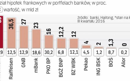 Łączna wartość hipotek frankowych to 135 mld zł