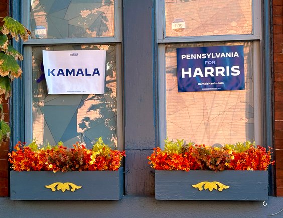 Końcówka października rozpieszcza: paleta kolorów na zboczach Appalachów