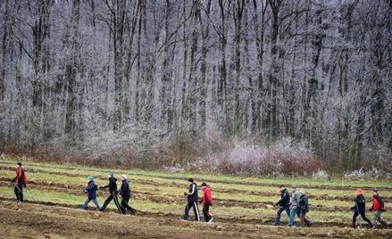 Z pieniędzy z budżetu obywatelskiego powstał Park Biegowy Marcinka w Tarnowie