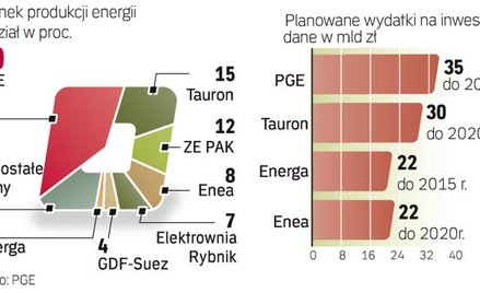 wydatki na inwestycje w największych firmach