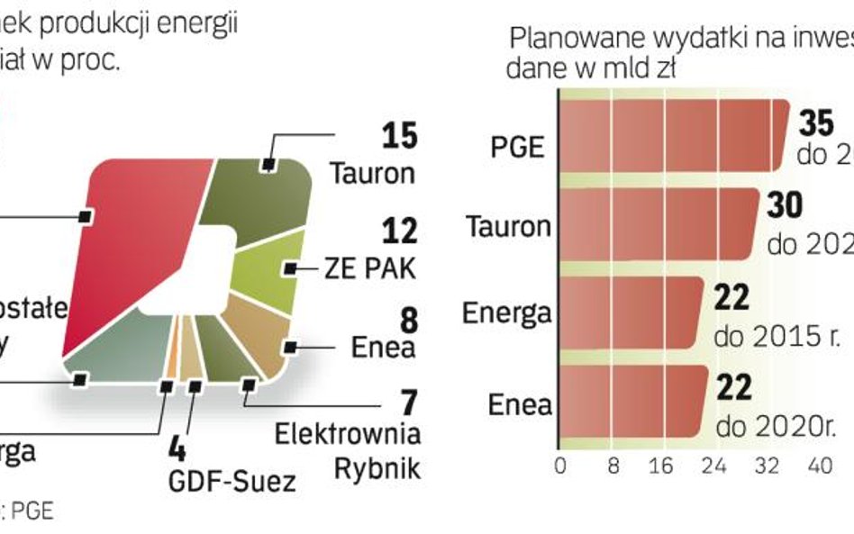 wydatki na inwestycje w największych firmach