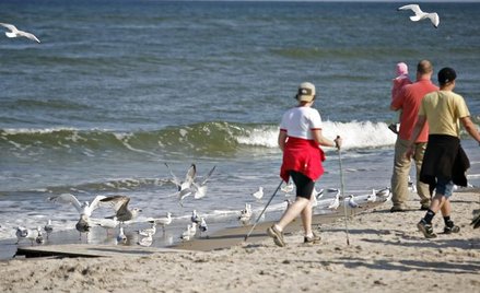 Wczasowicz nabity w butelkę