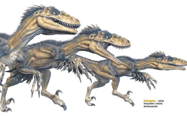 Utahraptory – rodzaj teropodów z rodziny dromeozaurów
