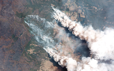 Dym z Australii może okrążyć Ziemię i wrócić nad kontynent