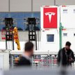 Tesla kompletuje załogę do zakładu pod Berlinem
