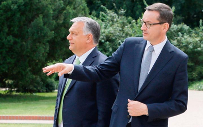 Powstanie polsko-węgierskiego instytutu prezes PiS uzgodnił z węgierskim premierem Viktorem Orbánem,