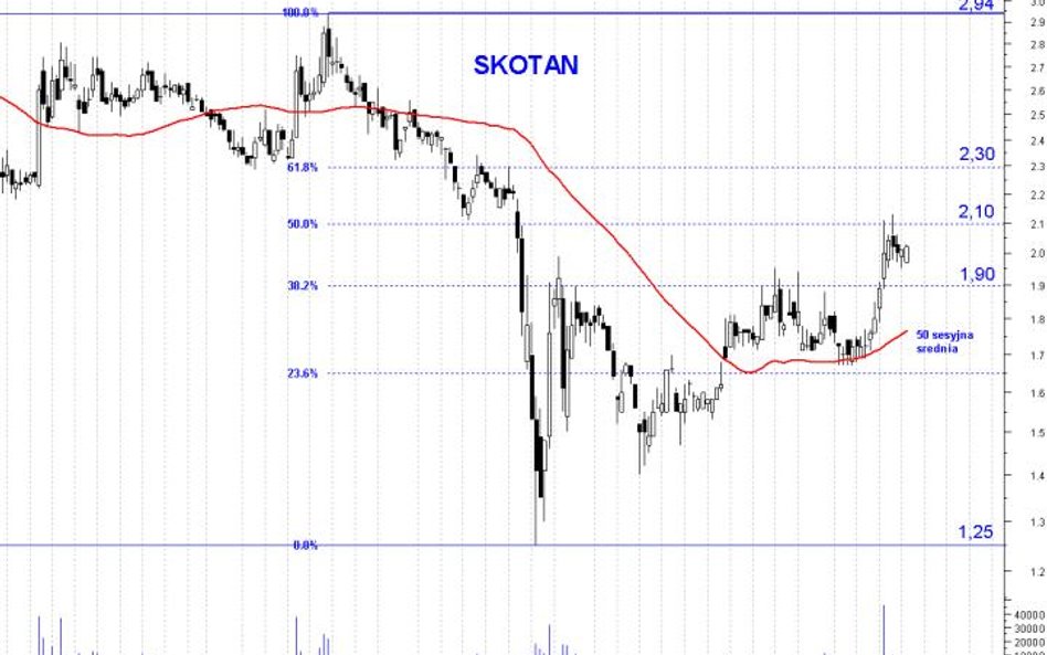 Skotan: obiecujące średnioterminowe wzrosty
