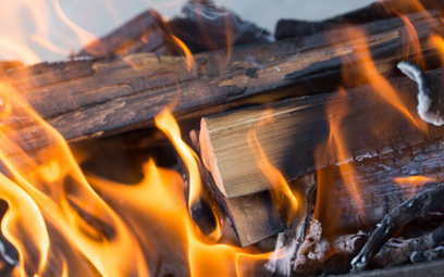 Eksperci: spalanie drewna w elektrowniach mija się z celem