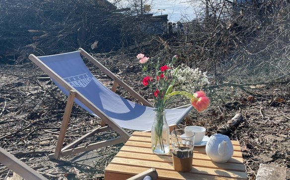 Na zdjęciach lokalnych aktywistów widać rozłożone leżaki w niemal „księżycowym krajobrazie” po wycin