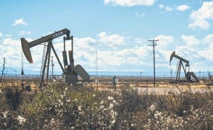 Notowania ropy WTI zbliżyły się w tym tygodniu do blisko 84 USD za baryłkę. Byczy sygnał dały m.in. 