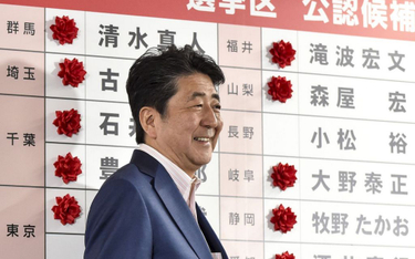 Japonia: Rząd wygrywa, ale konstytucji nie zmieni