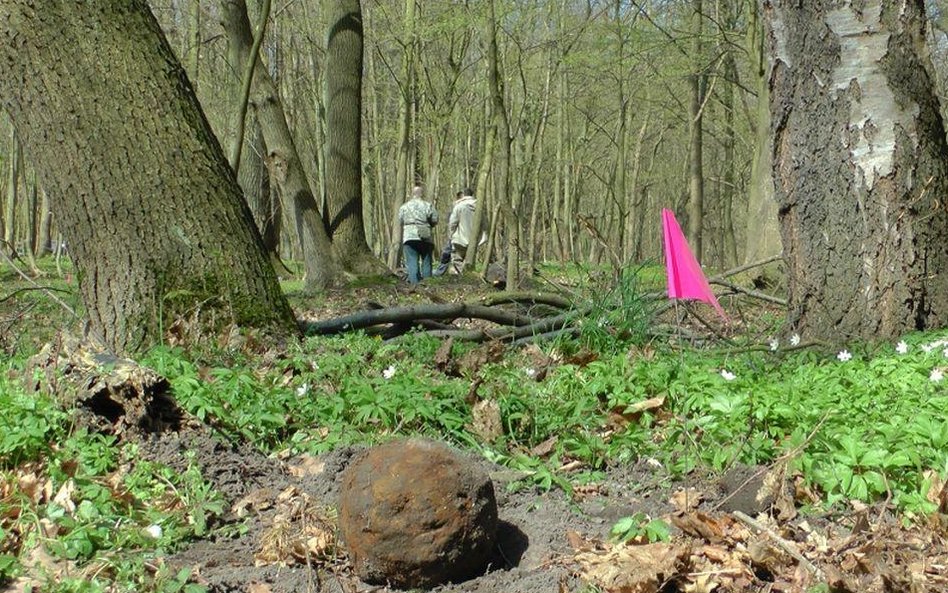 Poszukiwania w Kołobrzegu