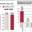 Energa przed IPO tnie program inwestycyjny