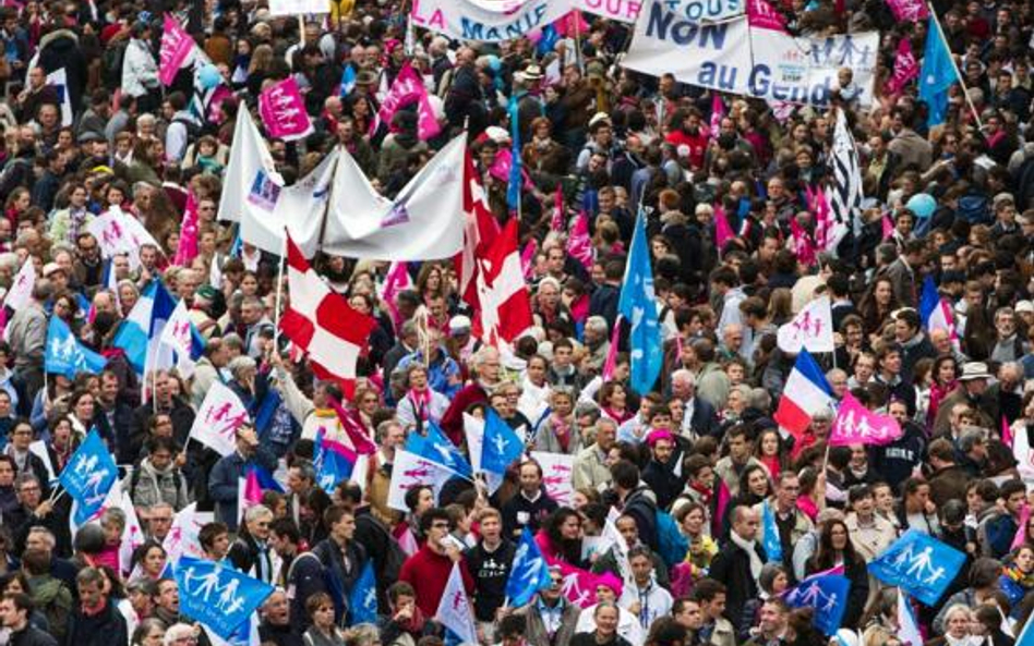Paryska manifestacja przeciw rządowi i w obronie rodziny