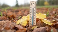 Październik pod znakiem chłodu, ale listopad nas zaskoczy. Nowa prognoza długoterminowa