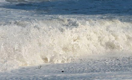 Tsunami w Szwajcarii