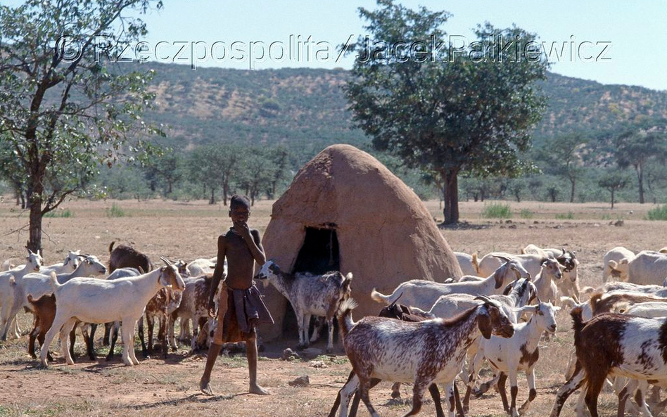 Kaokolad, pustynny zakątek w północno-zachodniej Namibii