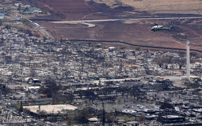 Hawaje: Po gigantycznych pożarach na Maui przetrwał jeden dom