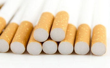 CBŚP rozbiła międzynarodową grupę handlującą nielegalnymi papierosami