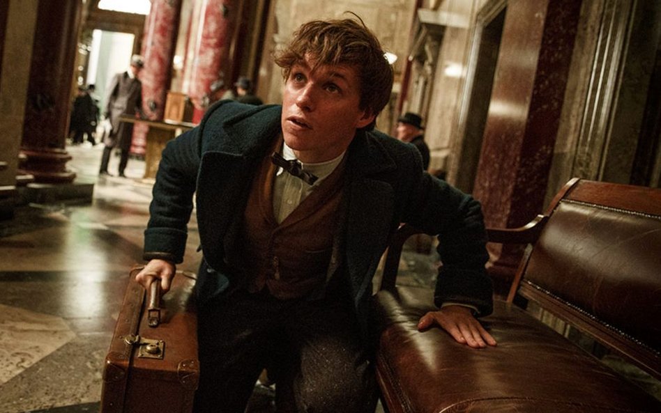 "Fantastyczne zwierzęta i jak je znaleźć", Anna Pinnock, Stuart Craig