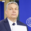 Michał Szułdrzyński: Orbán wie, kiedy coś da się jeszcze ugrać, a kiedy nie