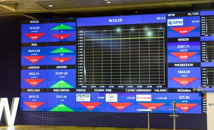 WIG20 po kilkudziesięciu minutach traci 2,4 proc. i tym samym schodzi poniżej dołka z drugiej połowy