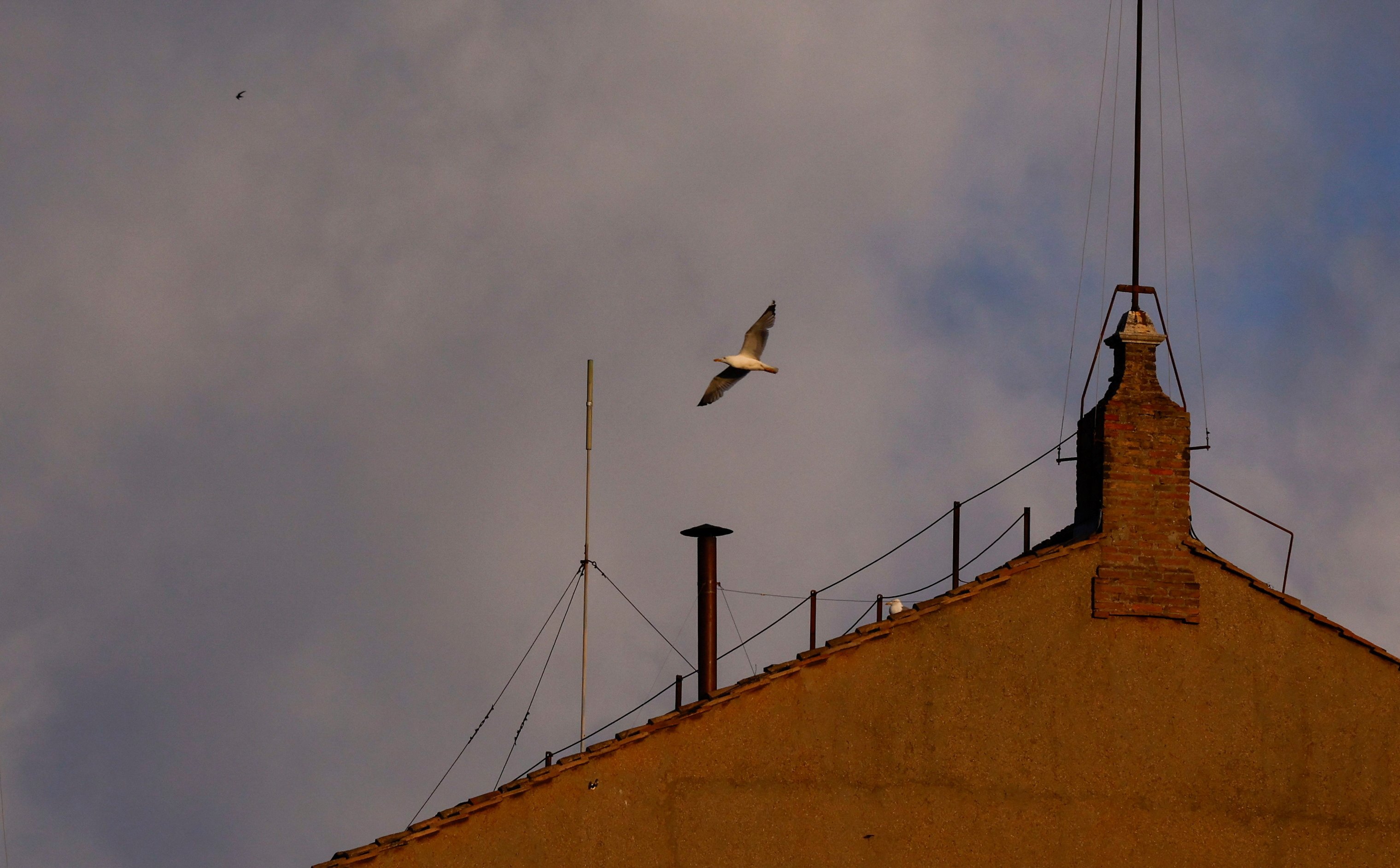 Biały dym nad Watykanem. Kardynałowie wybrali na konklawe nowego papieża
