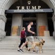 James Denton o publikacji "New York Times" na temat oświadczenia podatkowego Donalda Trumpa