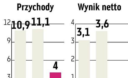bmp Niemiecki fundusz zakończył 2008 rok minimalnym zyskiem
