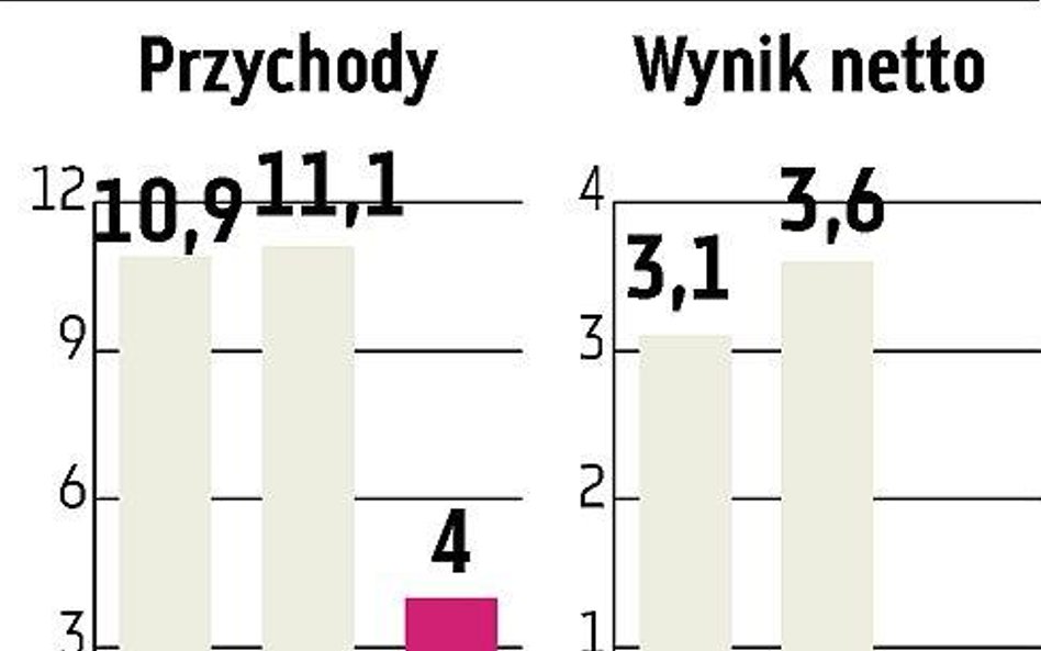 bmp Niemiecki fundusz zakończył 2008 rok minimalnym zyskiem