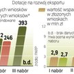 Budżet dotacji eksportowych z programu „Innowacyjna gospodarka” na lata 2007 – 2013 wynosi około pół