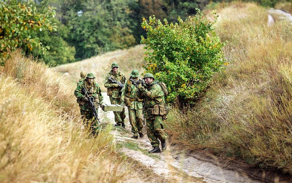 Gruzja: Czy FSB przesunęła granicę z Osetią Południową?