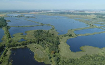 Przemkowski Park Krajobrazowy