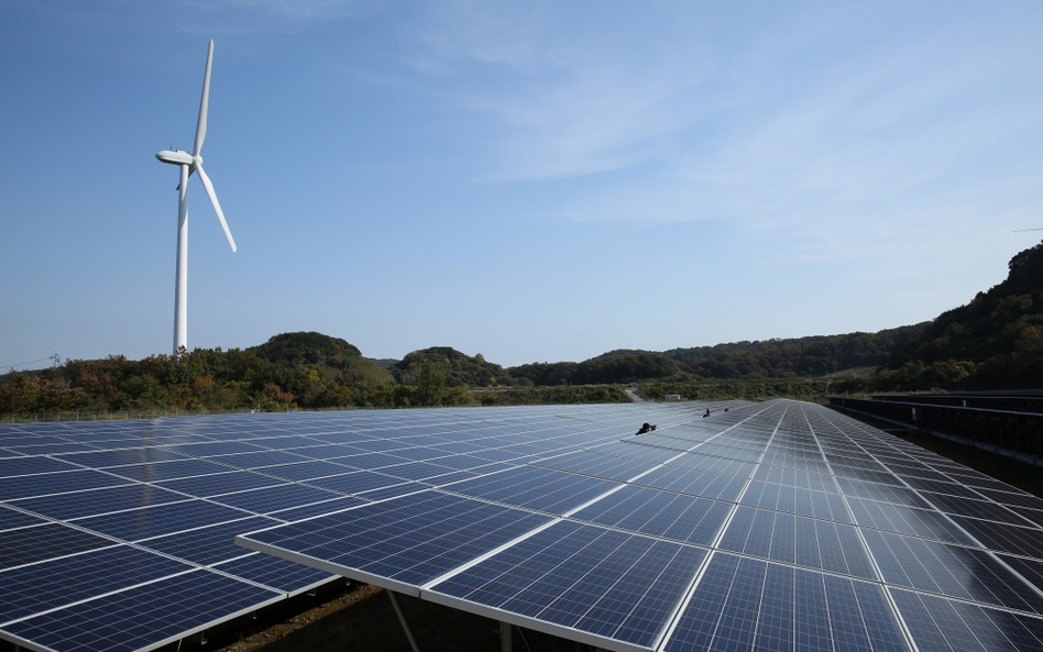Nowoczesna: w 2050 r. energetyka Polski bez węgla i atomu