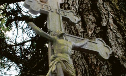 Jakub Kołacz SJ. Dominikanie potykają się o własną pychę