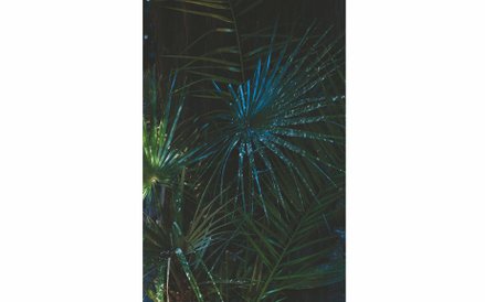 Daniela  Friebel‚ "Campo Verano", VI–45‚ z cyklu "Auspicia", 2018