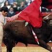 Jose Tomas na arenie w Walencji, marzec 2008