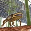 Wymarły 290 mln lat temu płaz miał czaszkę żaby i ogon salamandry