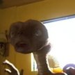Główny bohater "E.T." zatrzymany za jazdę pod wpływem alkoholu