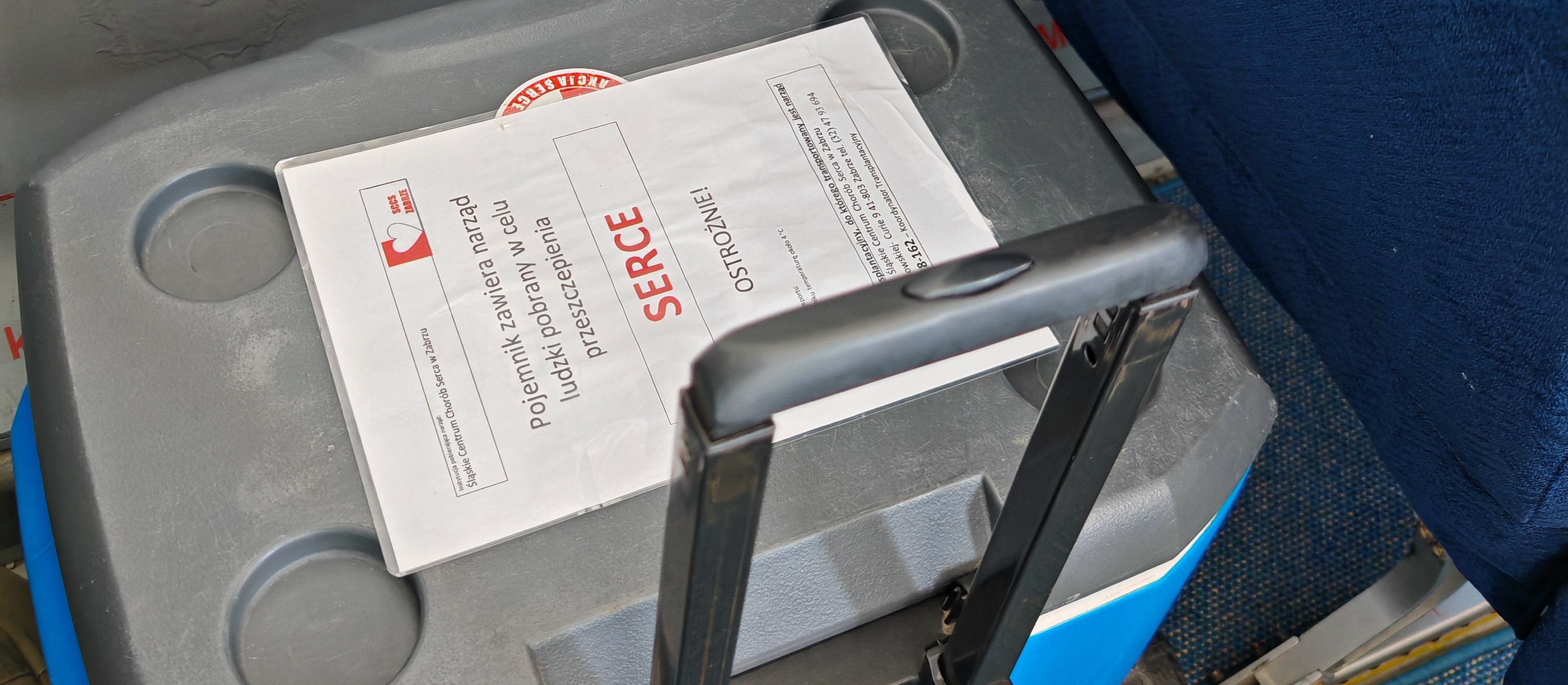 Na ratunek z sercem. Jak działa polski system transplantacji organów